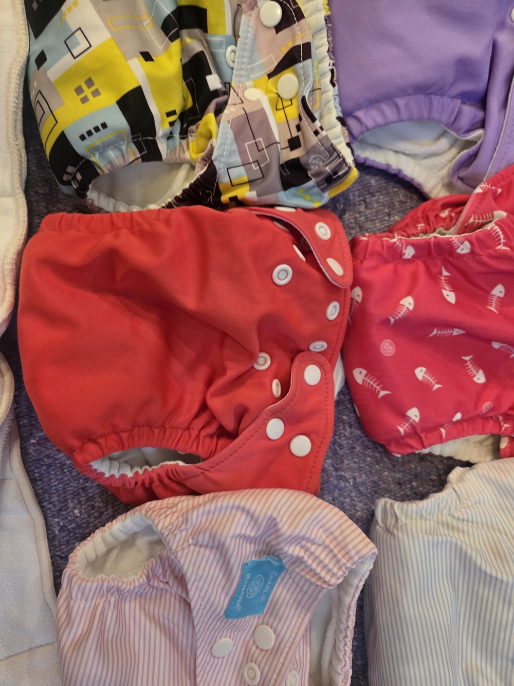 Charlie Banana Resuable Cloth Diaper Covers With Inserts